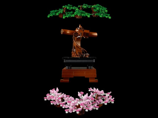 Bonsai Tree - Image 4