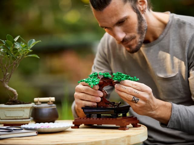 Bonsai Tree - Image 11