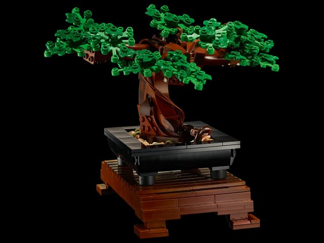 Bonsai Tree - Image 9