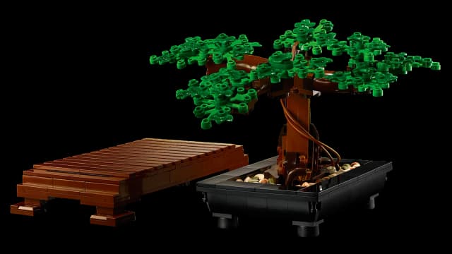 Bonsai Tree - Image 7