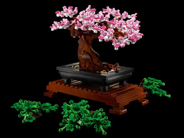 Bonsai Tree - Image 10