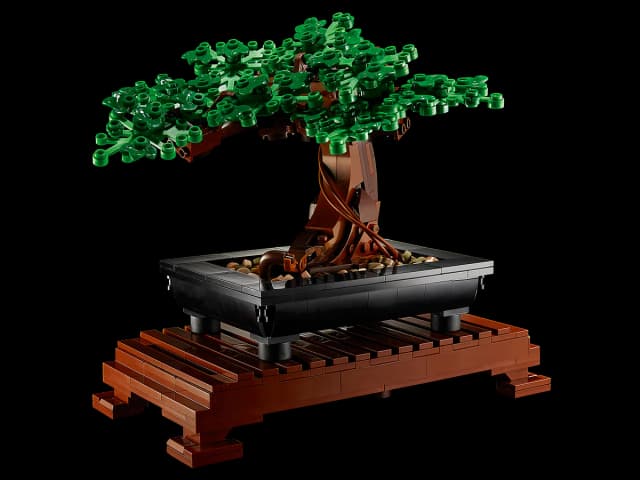 Bonsai Tree - Image 2
