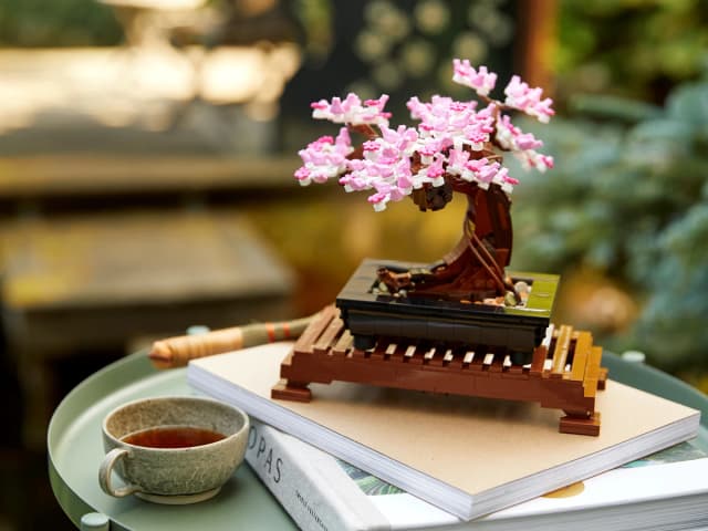 Bonsai Tree - Image 5