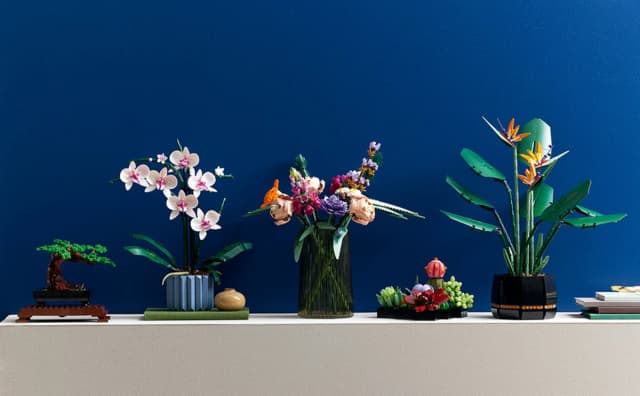 Orchid - Image 3