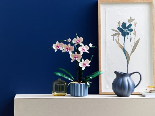 Orchid - Image 10