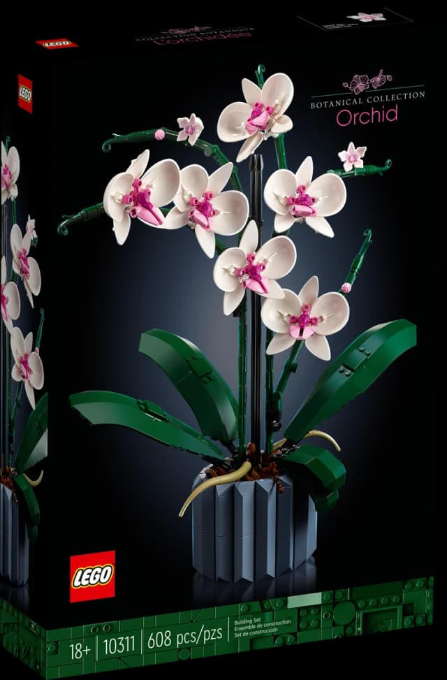 Orchid - Image 7