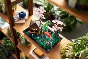 Tranquil Garden