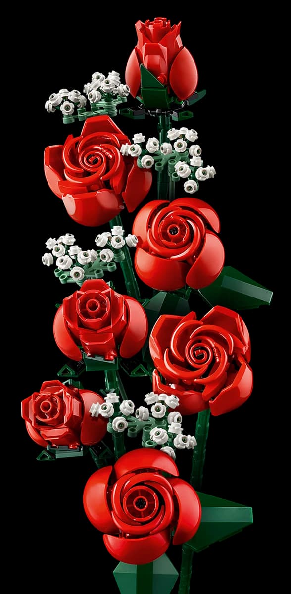 Bouquet of Roses - Image 5