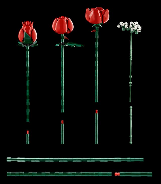 Bouquet of Roses - Image 6
