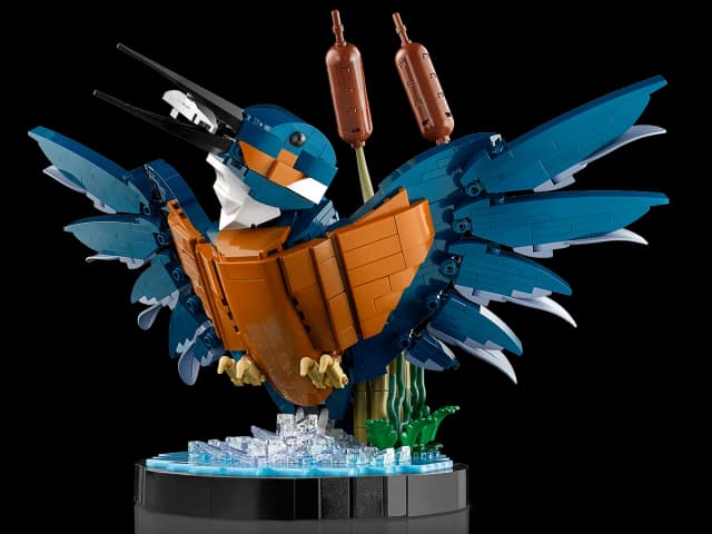 Kingfisher Bird - Image 3