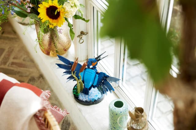 Kingfisher Bird - Image 5