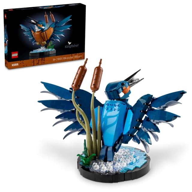 Kingfisher Bird - Image 2