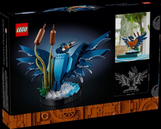 Kingfisher Bird - Image 7