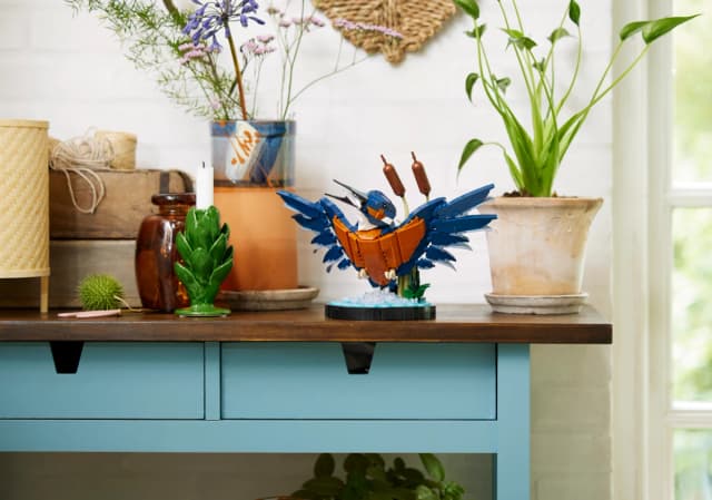 Kingfisher Bird - Image 8