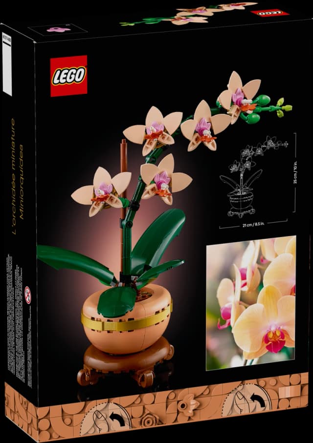 Mini Orchid - Image 3