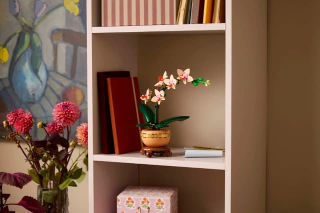 Mini Orchid - Image 8