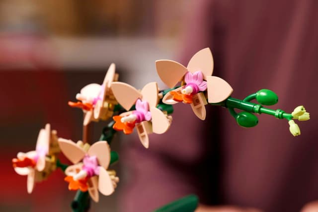 Mini Orchid - Image 6