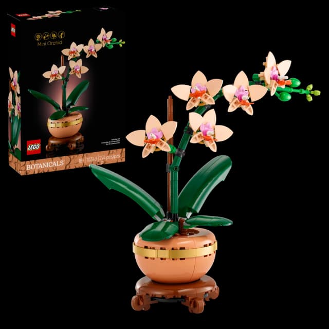 Mini Orchid - Image 4