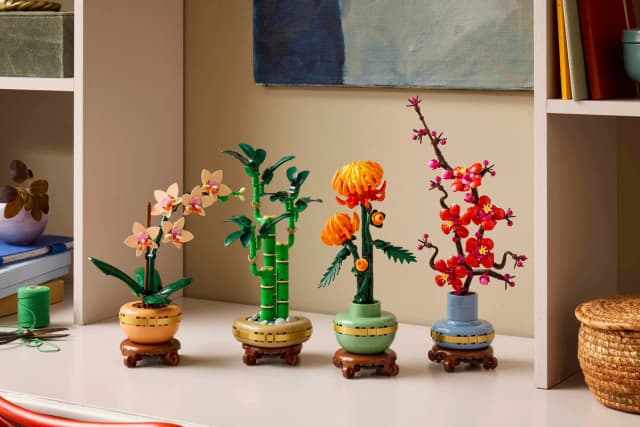 Lucky Bamboo - Image 4