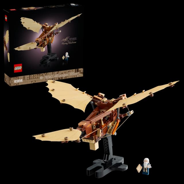 Leonardo da Vinci's Flying Machine - Image 12