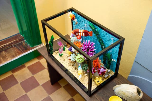 Tropical Aquarium - Image 12
