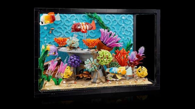Tropical Aquarium - Image 18