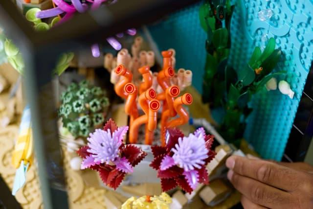 Tropical Aquarium - Image 14