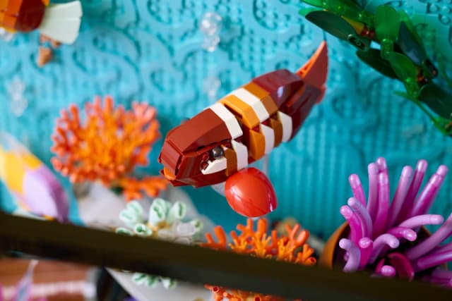 Tropical Aquarium - Image 6
