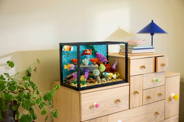 Tropical Aquarium - Image 3