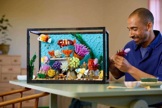 Tropical Aquarium - Image 16
