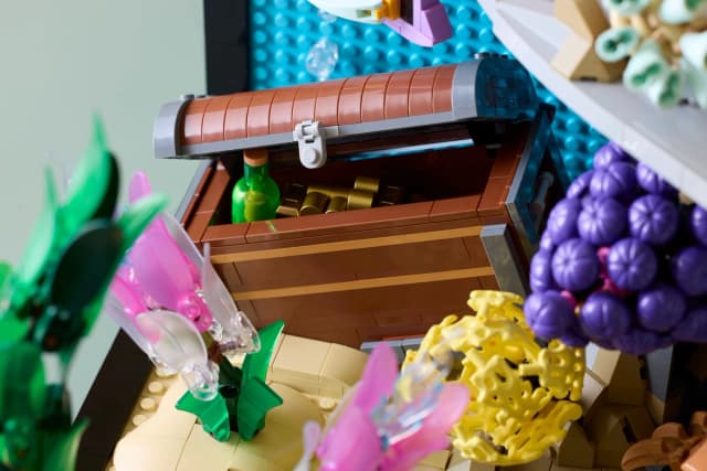 Tropical Aquarium - Image 4