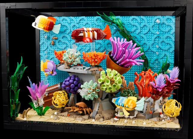 Tropical Aquarium - Image 1