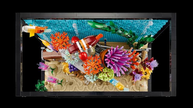 Tropical Aquarium - Image 2