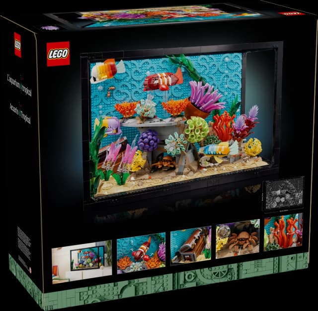 Tropical Aquarium - Image 11
