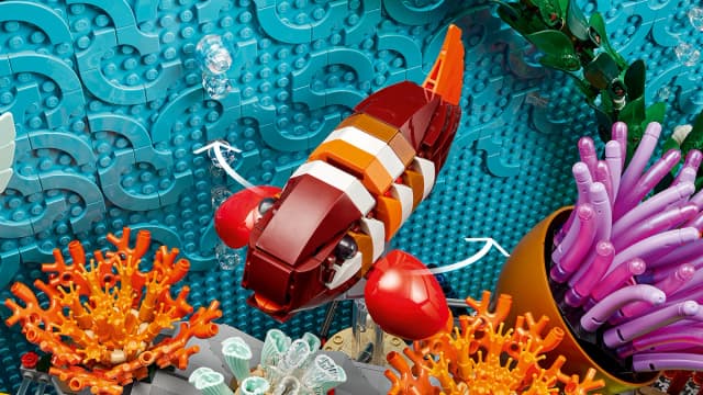 Tropical Aquarium - Image 17