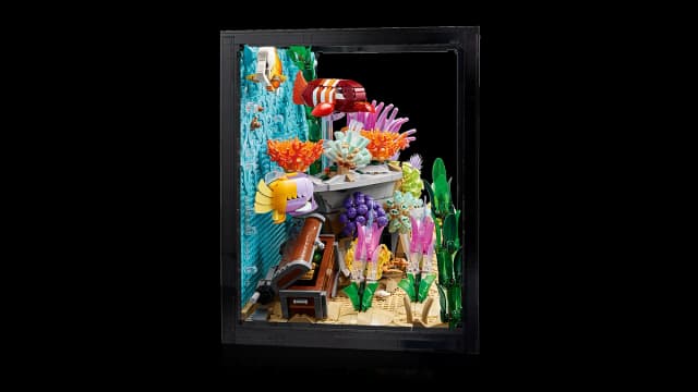 Tropical Aquarium - Image 9