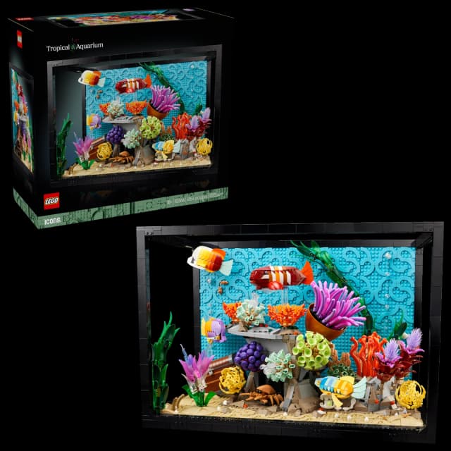 Tropical Aquarium - Image 13