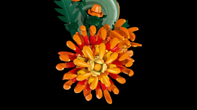 Chrysanthemum - Image 4