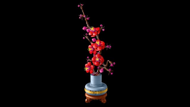Plum Blossom - Image 9