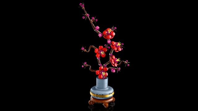Plum Blossom - Image 7