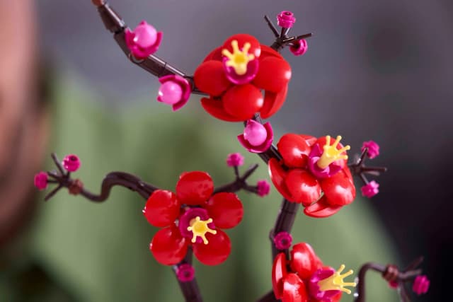 Plum Blossom - Image 3