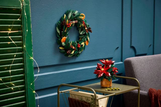Poinsettia - Image 5