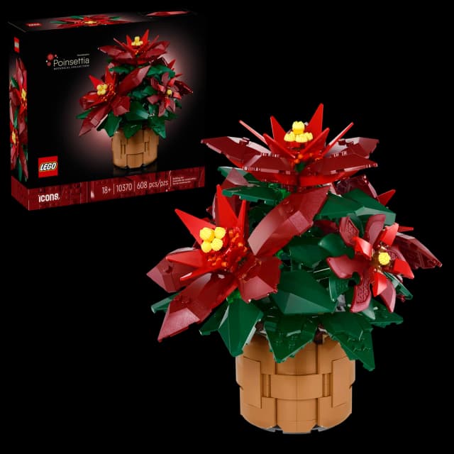 Poinsettia - Image 8