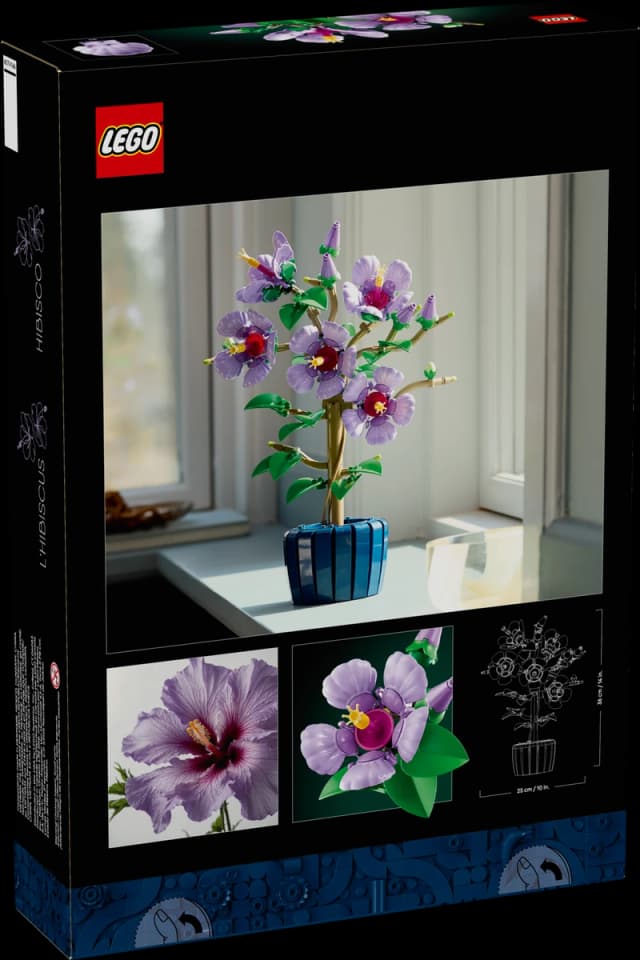 Hibiscus - Image 10