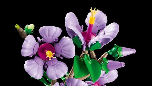 Hibiscus - Image 12