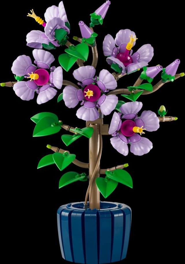 Hibiscus - Image 9