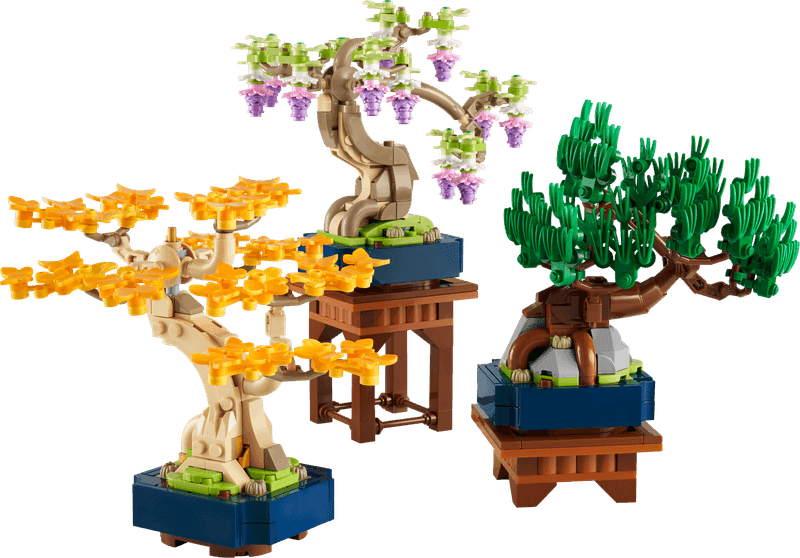 Mini Bonsai Trees