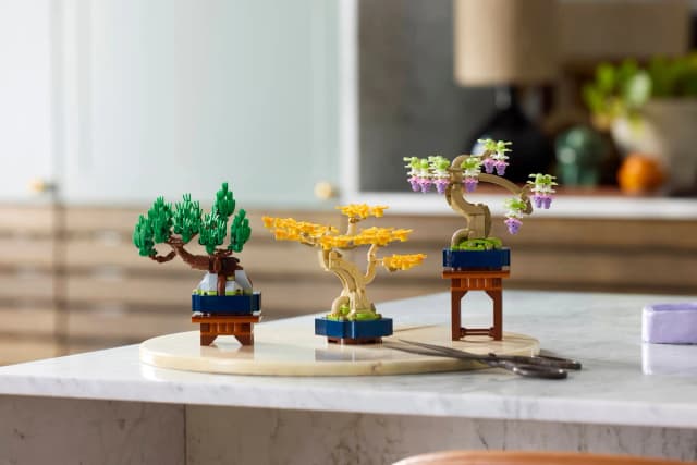 Mini Bonsai Trees - Image 10