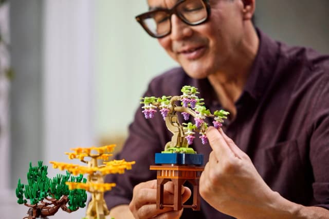 Mini Bonsai Trees - Image 3