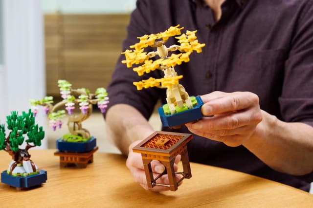 Mini Bonsai Trees - Image 2